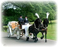 Prestige Wedding Carriages 1076048 Image 1